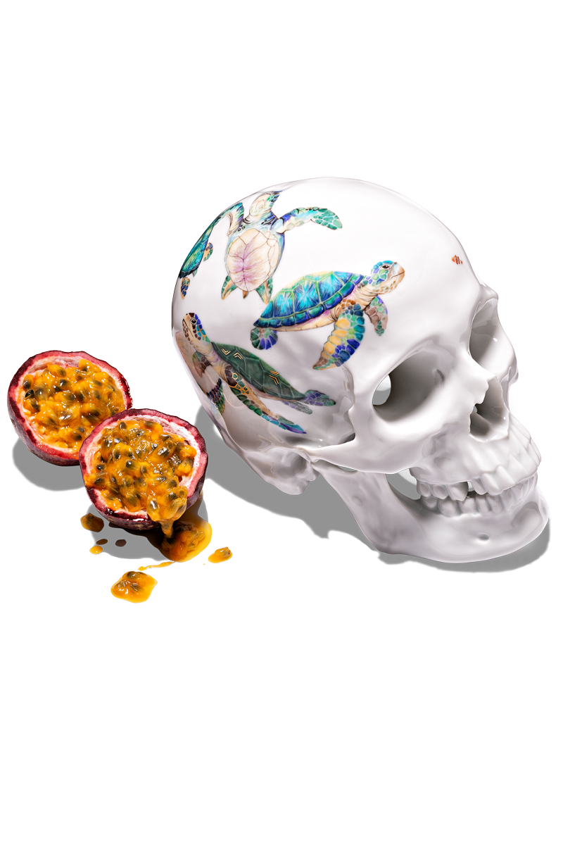 Segurio tectus art insurance